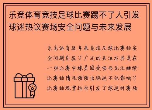 乐竞体育竞技足球比赛踢不了人引发球迷热议赛场安全问题与未来发展